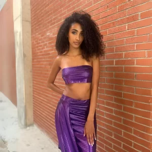 Purple Team